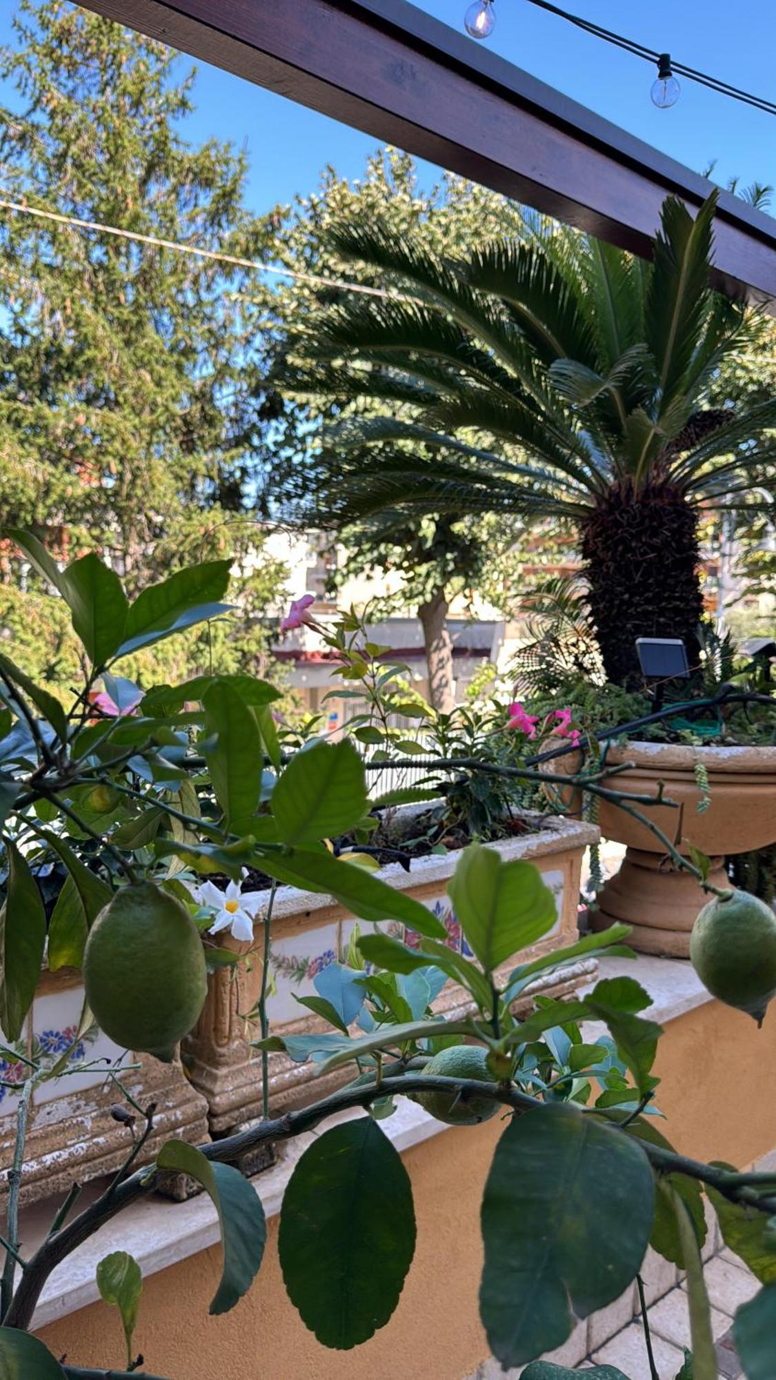 Relais Sorrento Terrace And Relax Bed & Breakfast エクステリア 写真